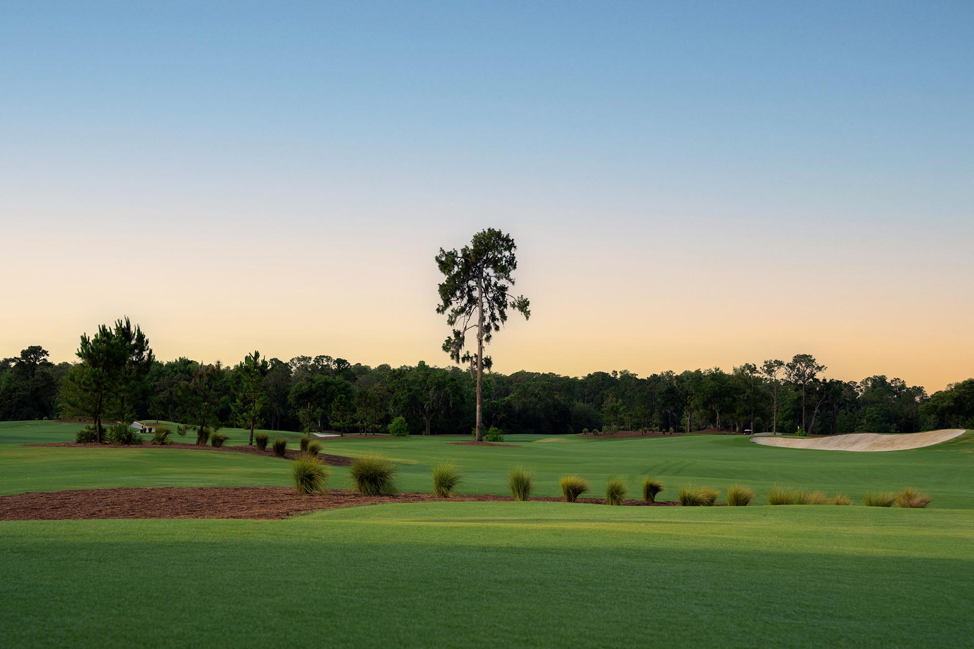 Grand Cypress Golf Club - Cypress Course