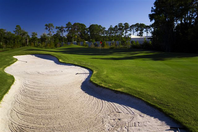 rosedale golf club dress code Guest Information