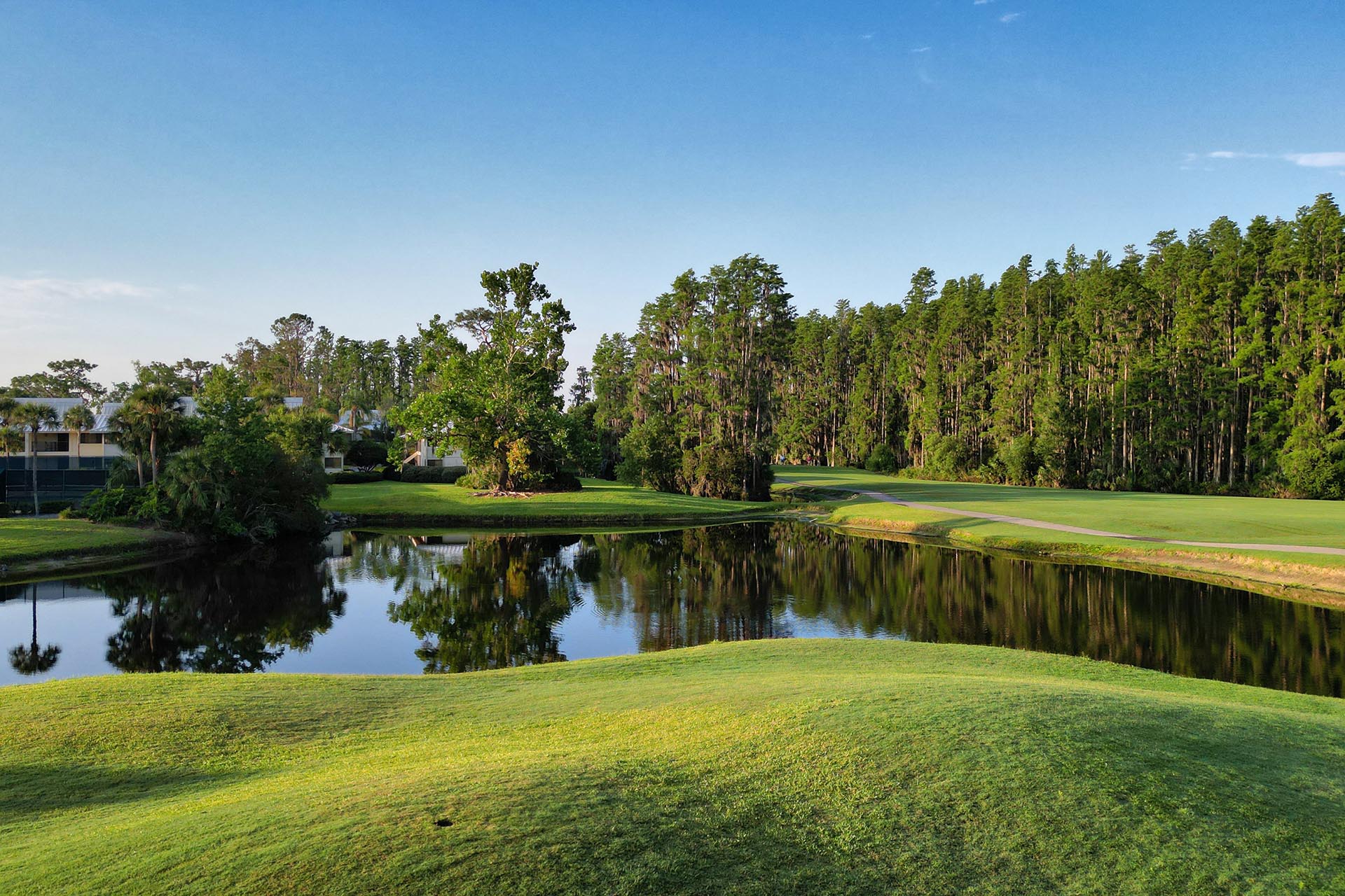 Saddlebrook Resort Hotel 8