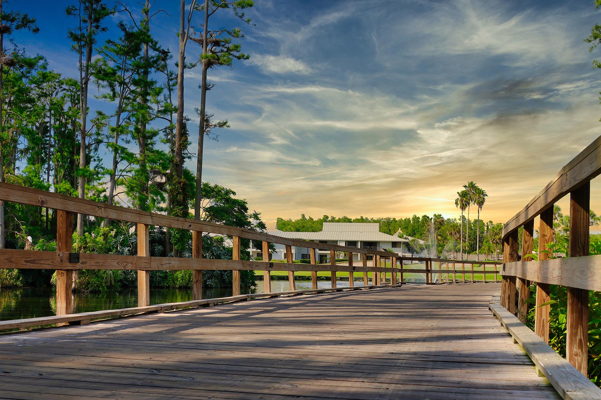 Saddlebrook Resort Hotel 11
