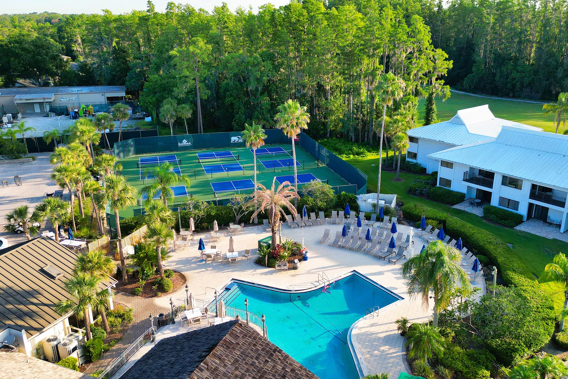 Saddlebrook Resort Hotel 13