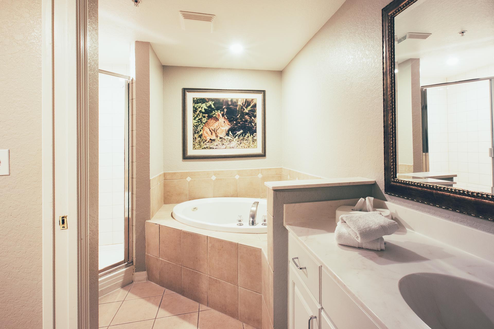 Orange Lake Resort 12