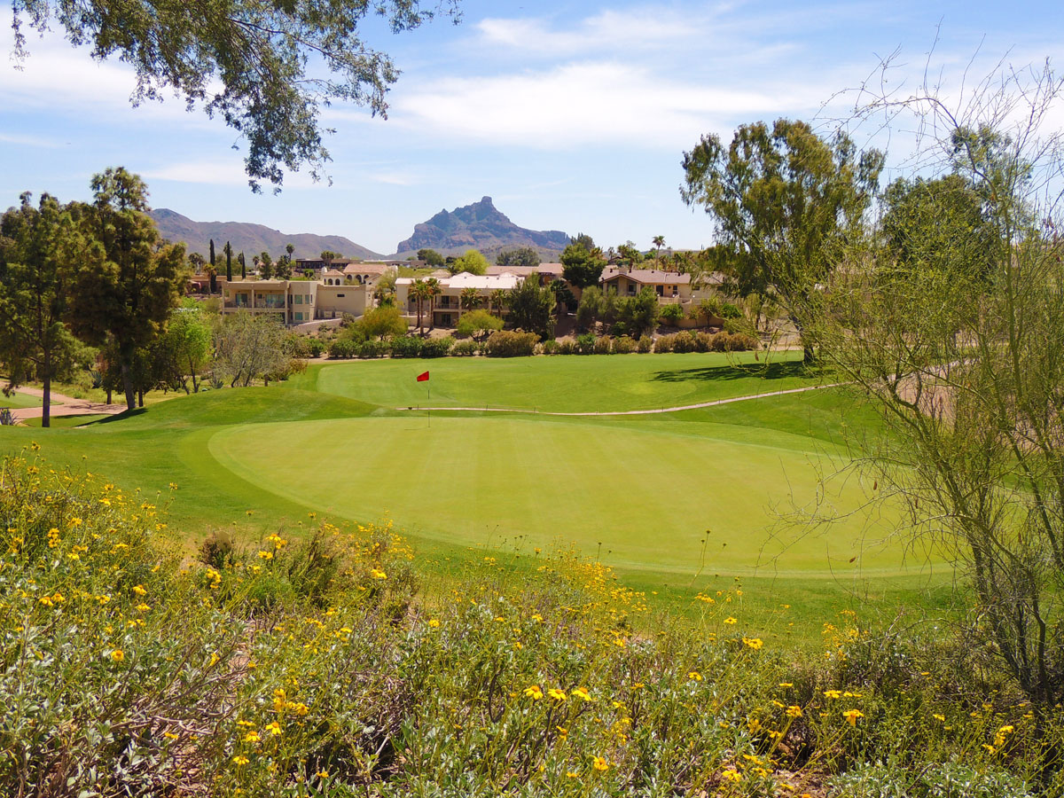 Desert Canyon Golf Club Fountain Hills Golf Course Tee Times Usa