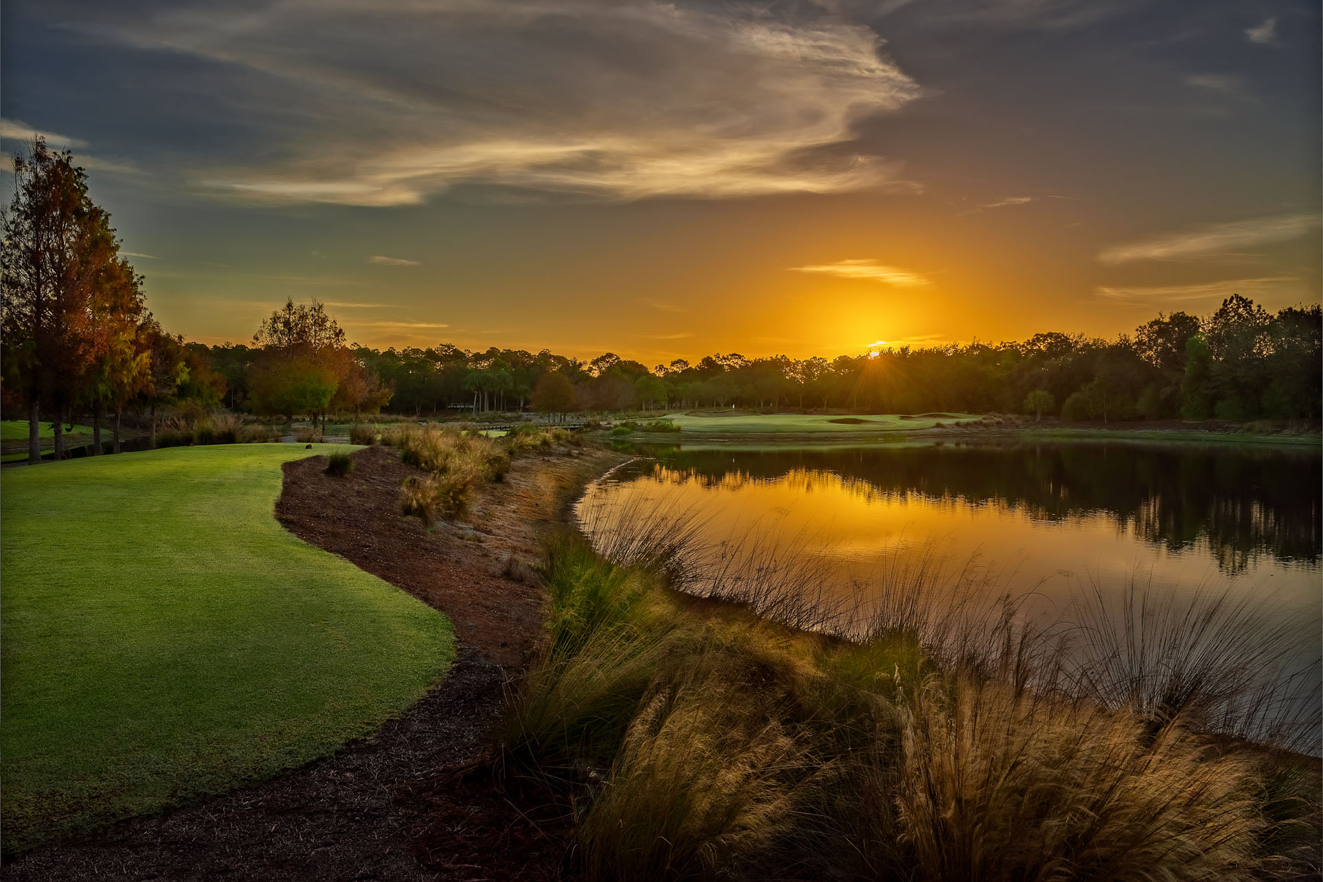 Tiburon Golf Club -  Black Course