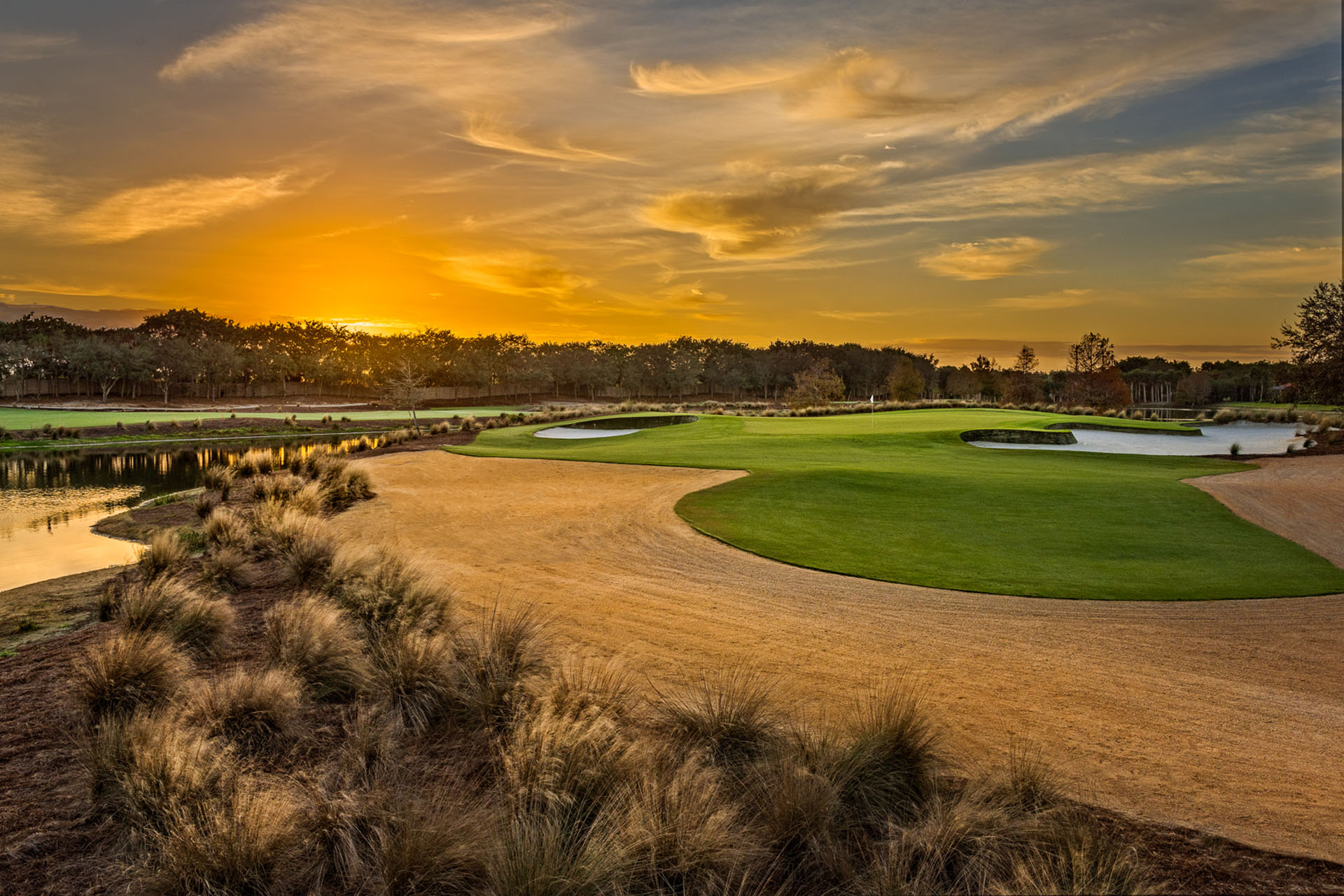 Tiburon Golf Club - Gold Course