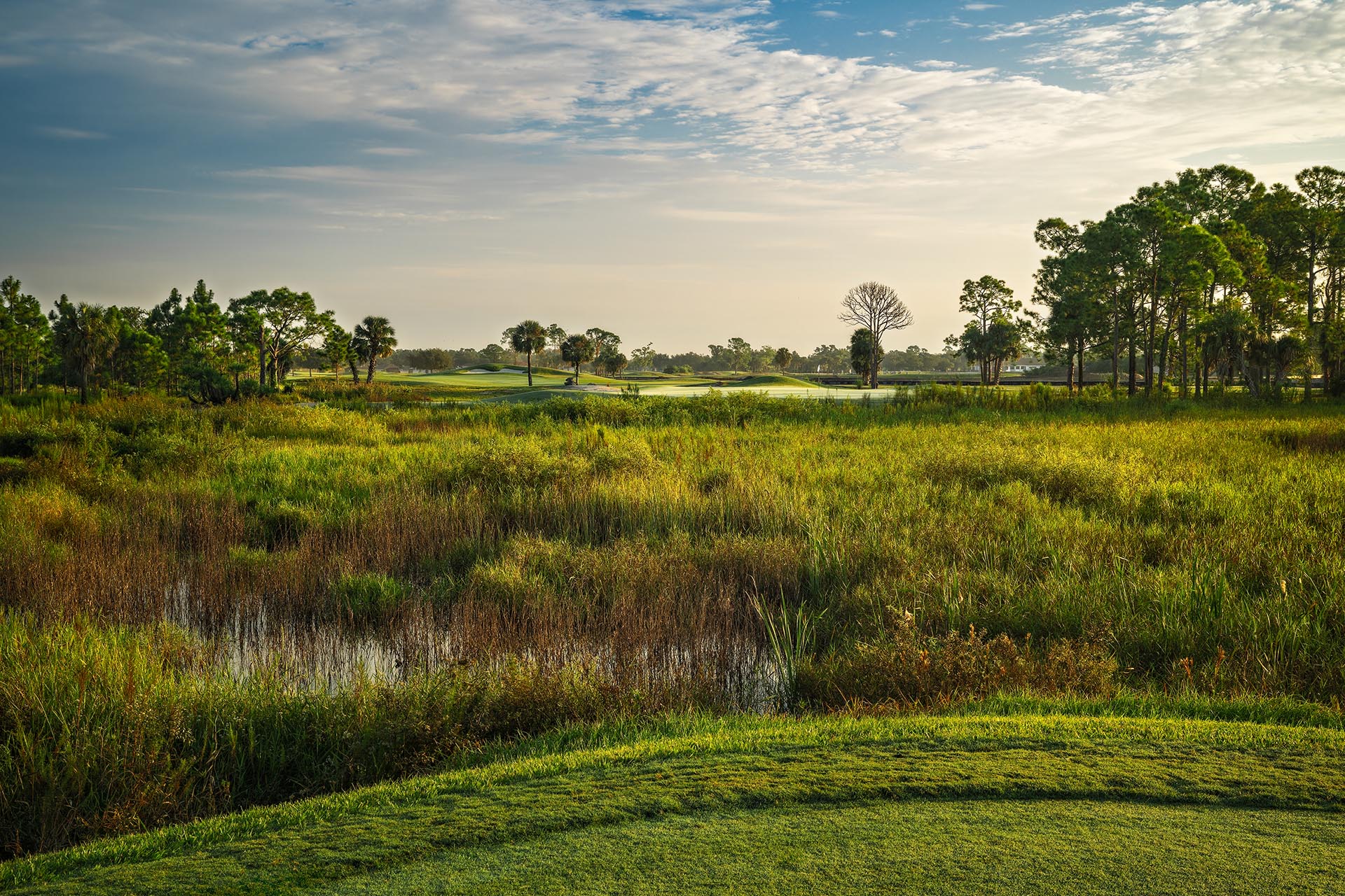 Ibis Landing Golf & Country Club 5