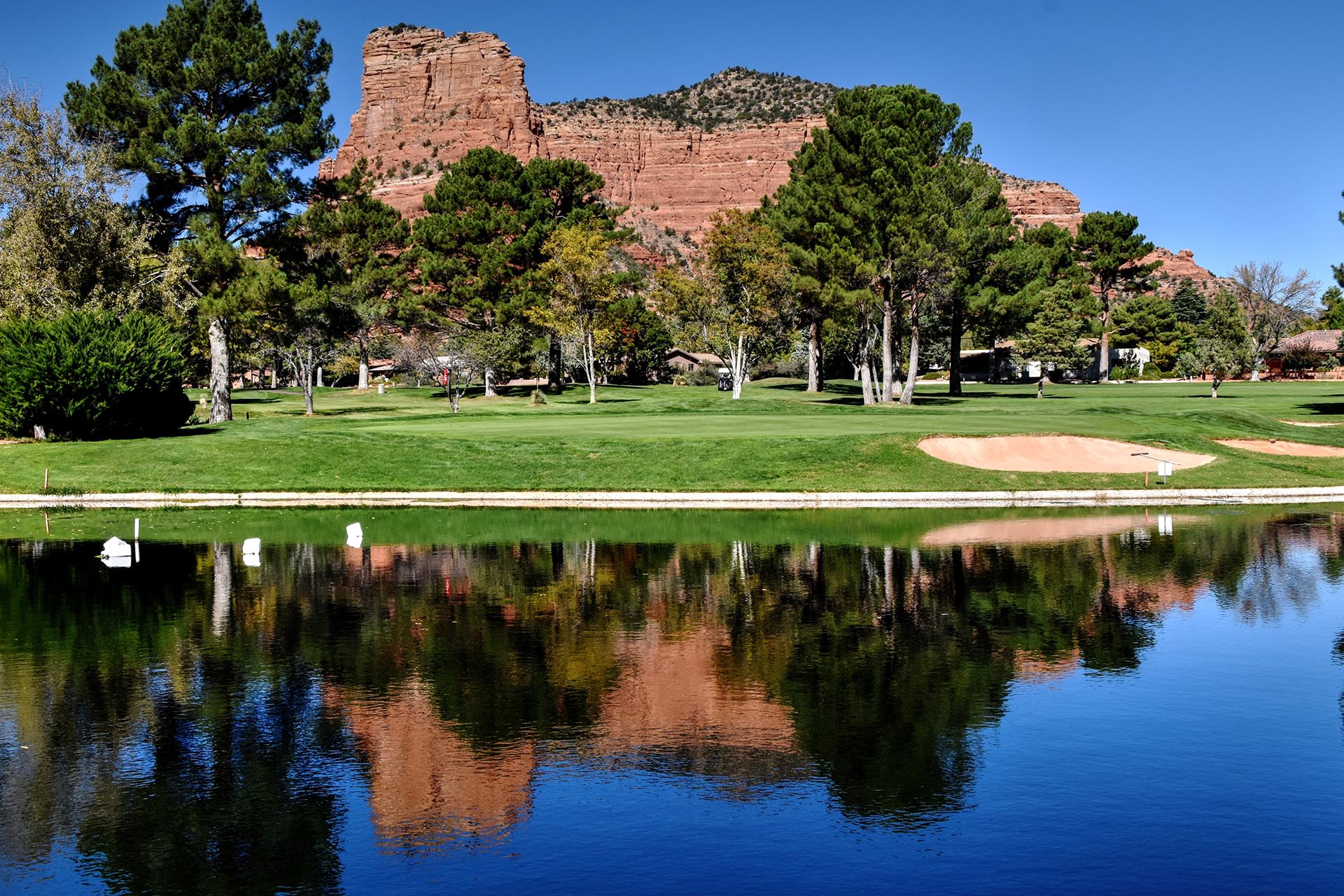 Experience the Red Rocks!